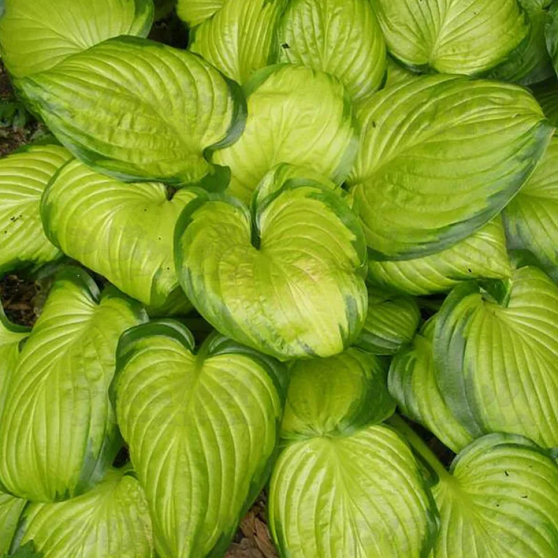 Фото 2