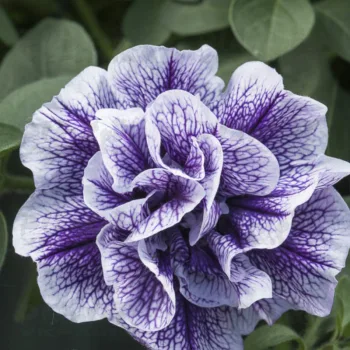 Фото 3