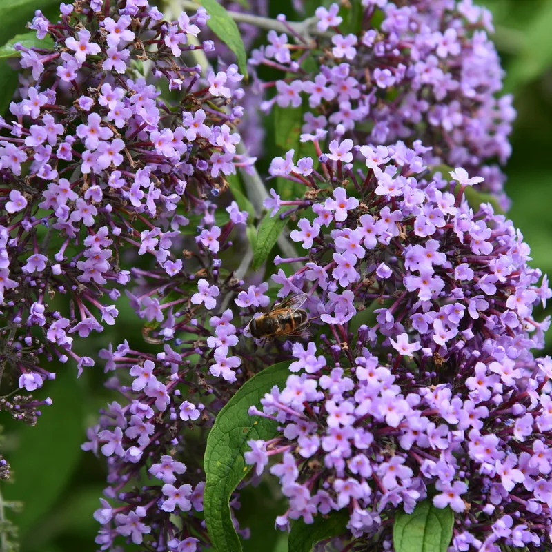 Фото 1
