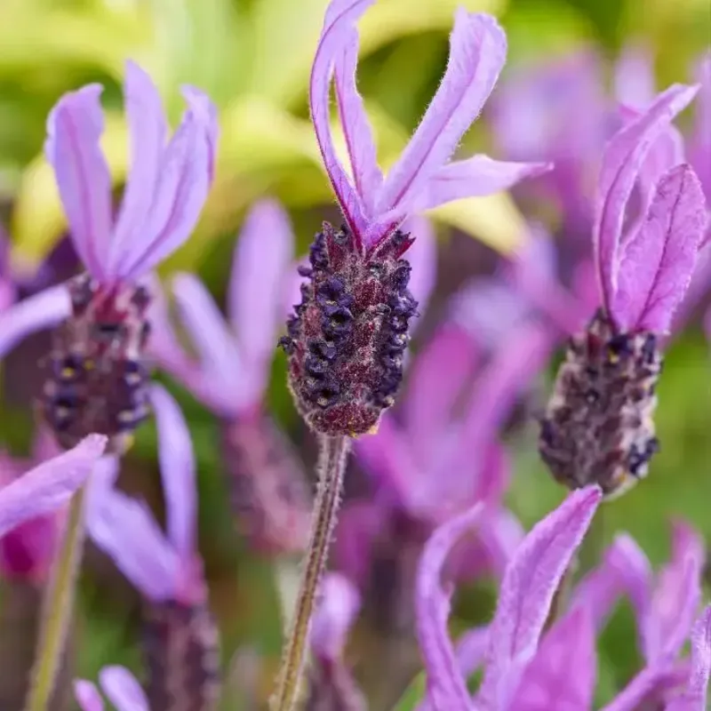 Фото 2