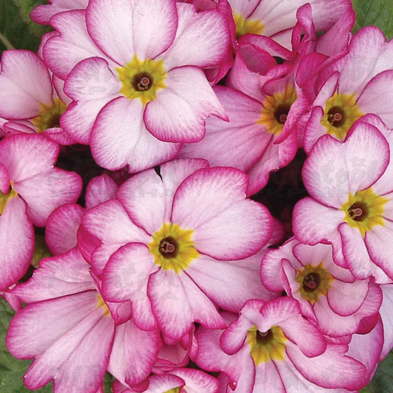 Фото 2