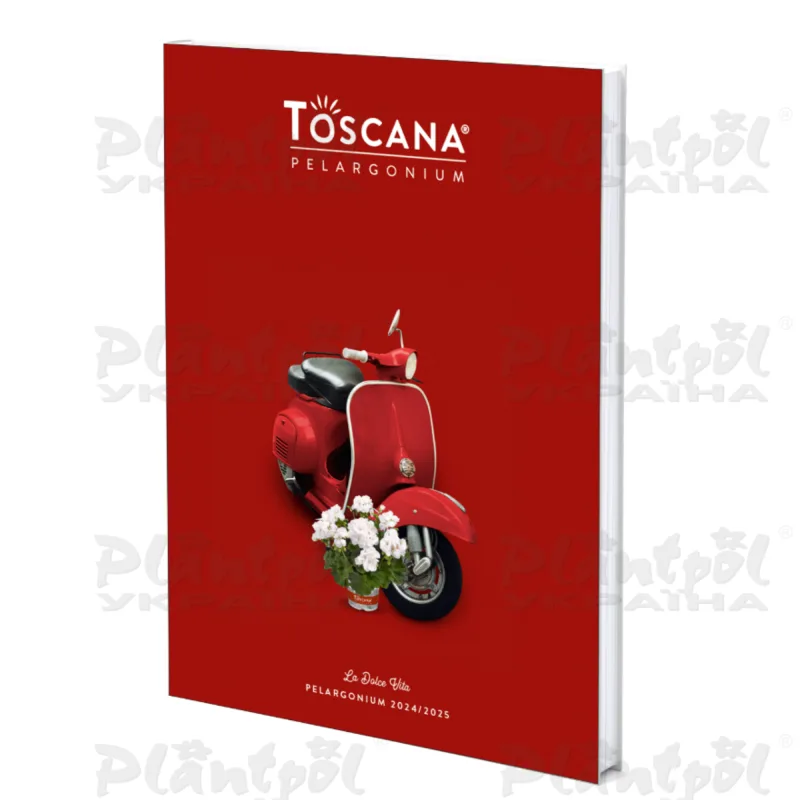 Фото 1