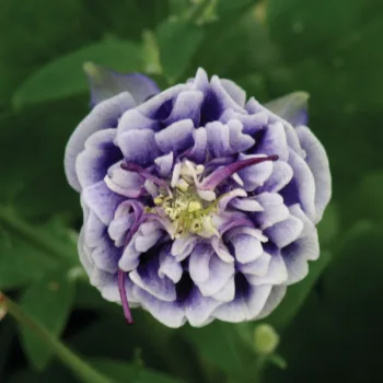 Фото 2