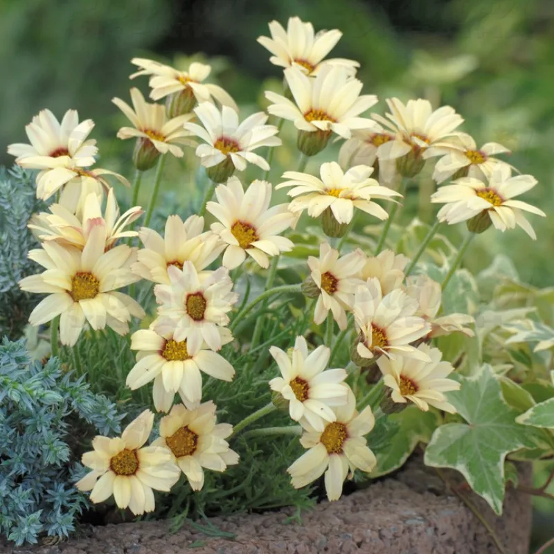 Фото 2