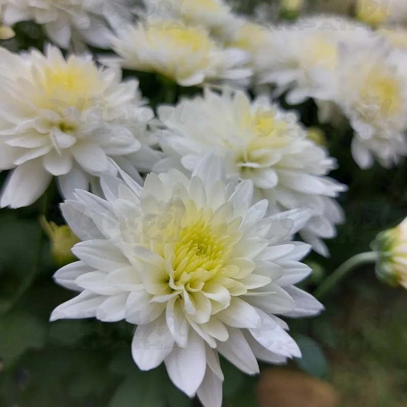 Фото 6