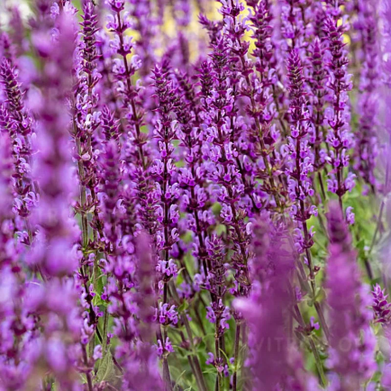 Фото 1