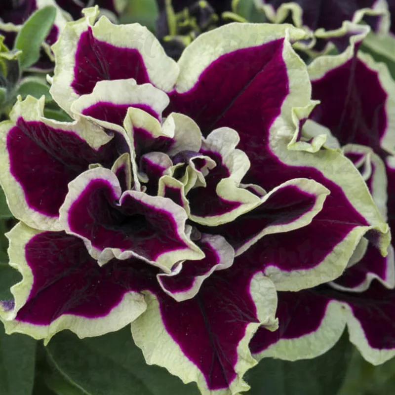Фото 2