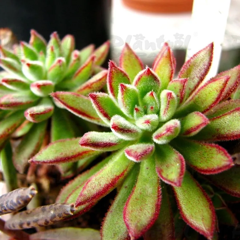 Фото 2