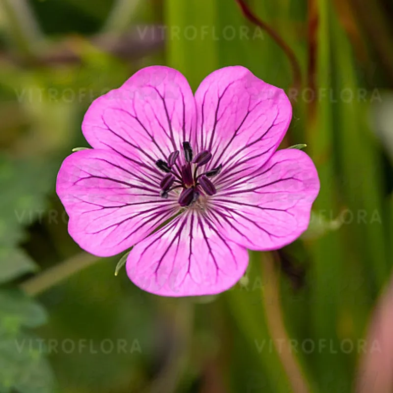 Фото 3