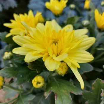 Фото 2