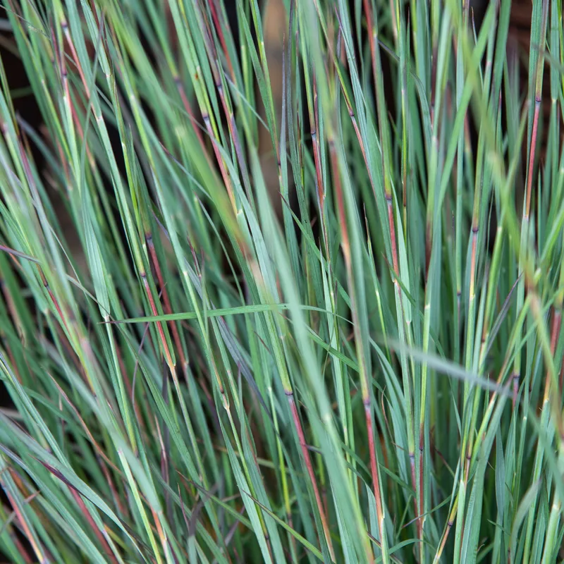 Фото 1