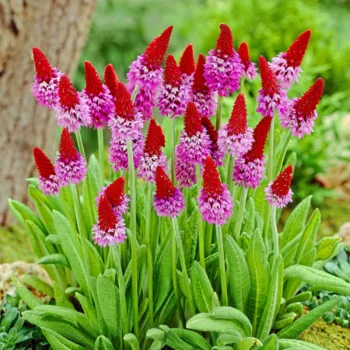 Фото 2