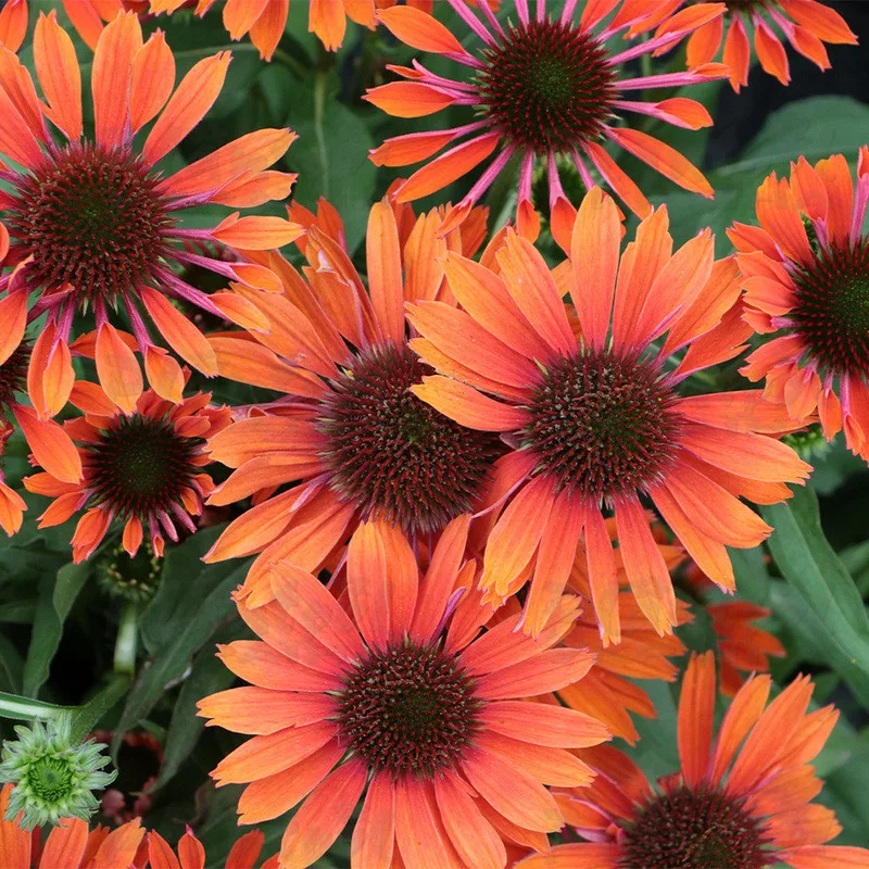 Фото 2