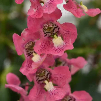 Фото 2