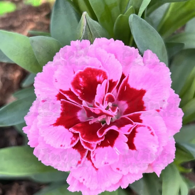 Фото 2