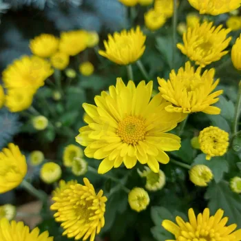 Фото 6
