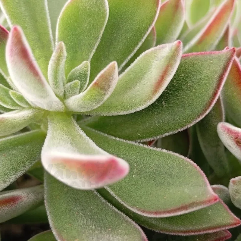 Фото 1