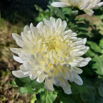 Фото 2