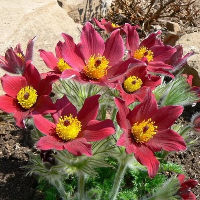 Фото 2