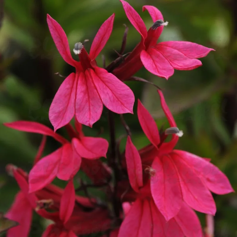 Фото 2